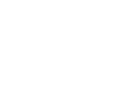 Logotipo TransNaur Transportes, desde 1998